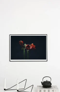 Best Applicata - Plakat - Dark red - Fotoplakat - 30x40 cm
