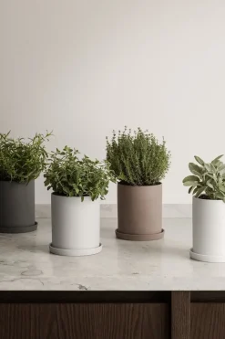 Discount Blomus - Herb Pot - Bark - NONA