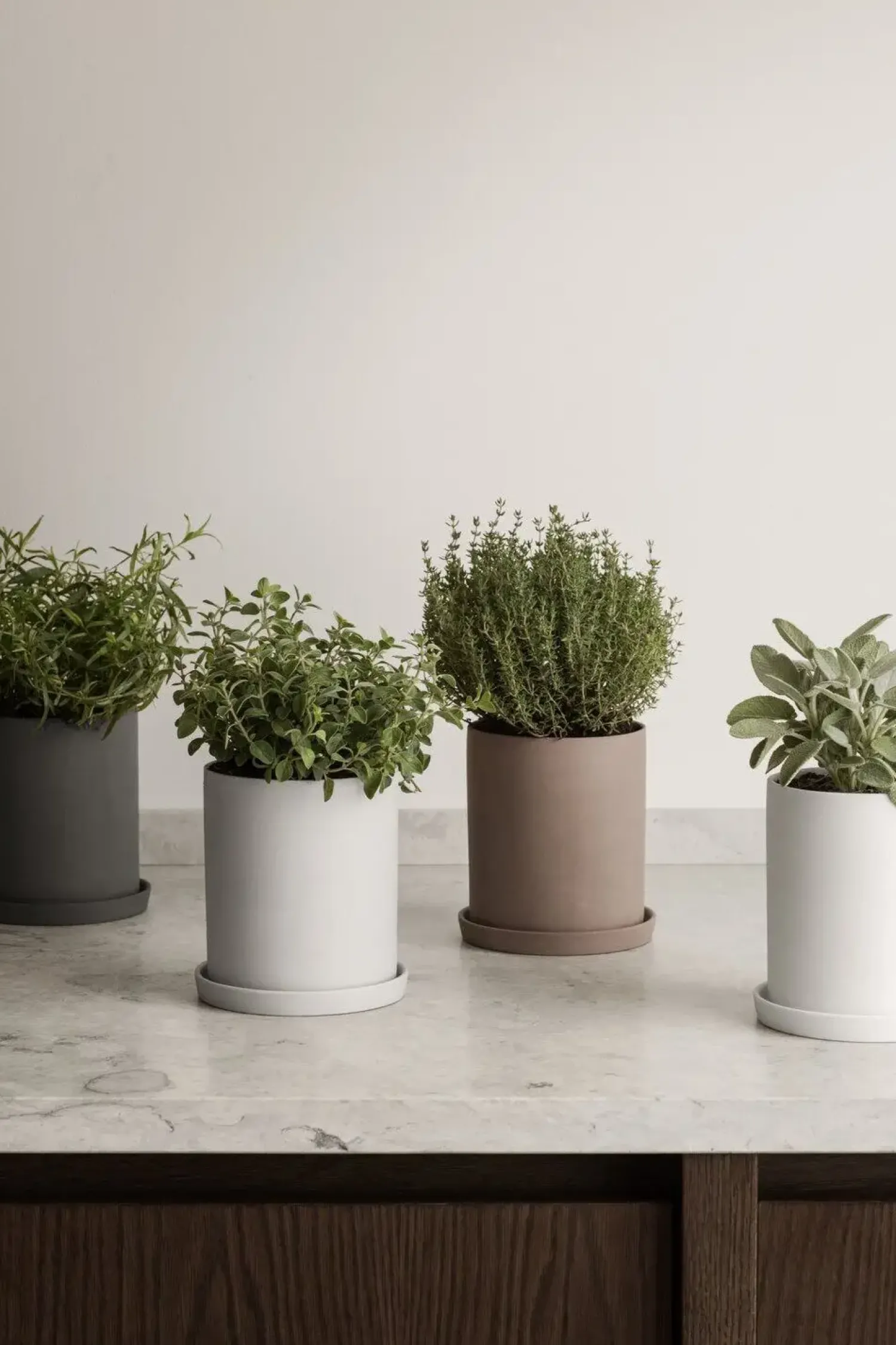 Discount Blomus - Herb Pot - Bark - NONA