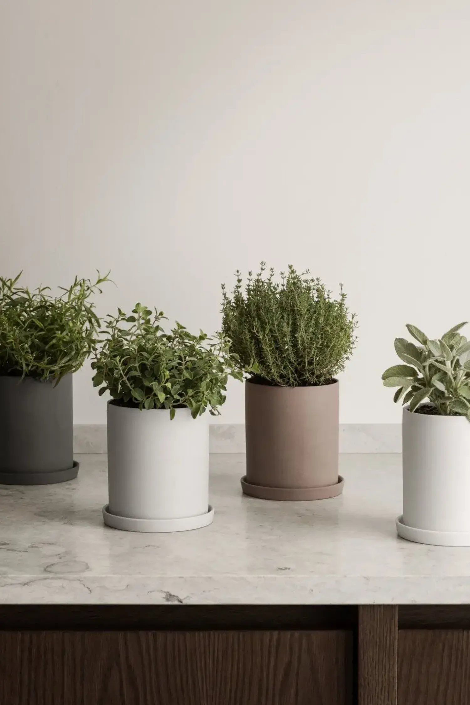 Online Blomus - Herb Pot - White - NONA