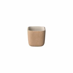 Clearance Blomus - Pencil Box - Fungi/Micro Chip - HERBA
