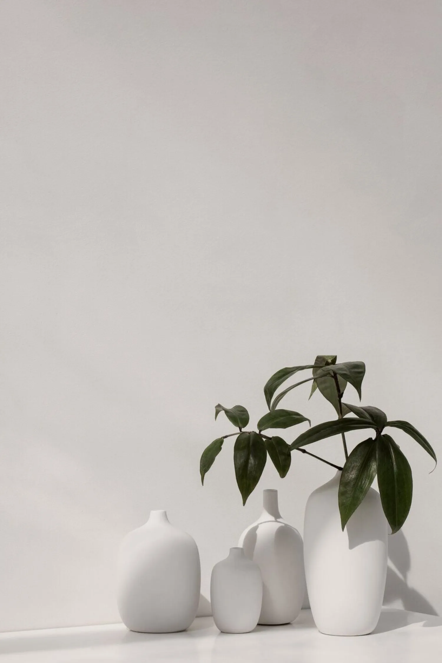 Discount Blomus - Vase - White - CEOLA