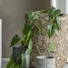 New Bloomingville - Anthurium Kunstig Plante - Grøn, Plastik, 117 cm