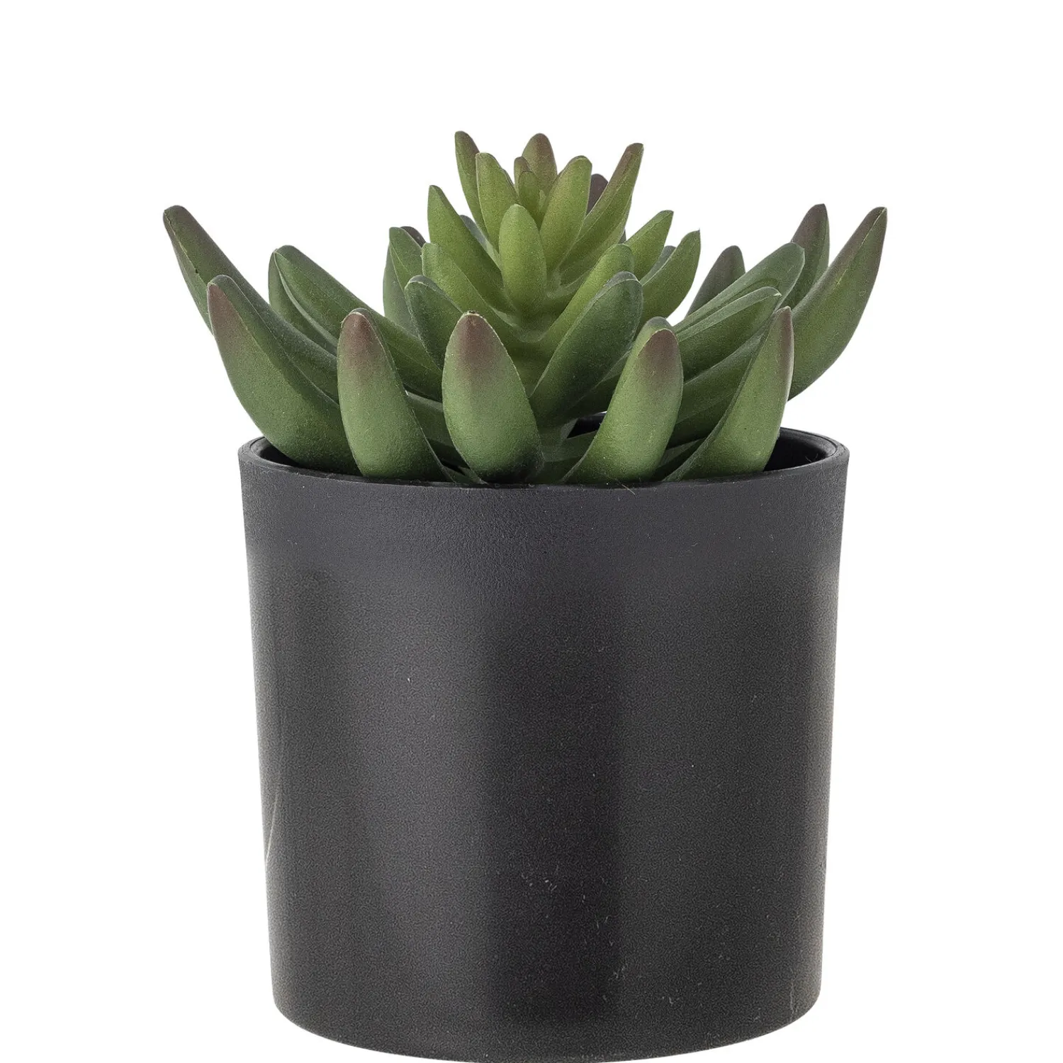 Bloomingville - Echeveria Kunstig Plante - Grøn, Plastik
