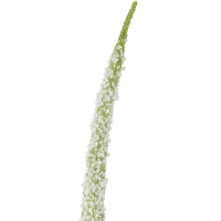 Best Bloomingville - Foxtail Kunstig stilk, Hvid, Plastik