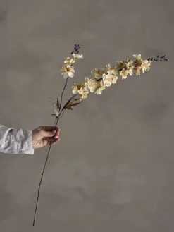 Outlet Bloomingville - Larkspur Kunstig stilk - Natur