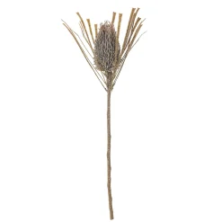 Hot Bloomingville - Palmflower Kunstig stilk - Brun, Plastik