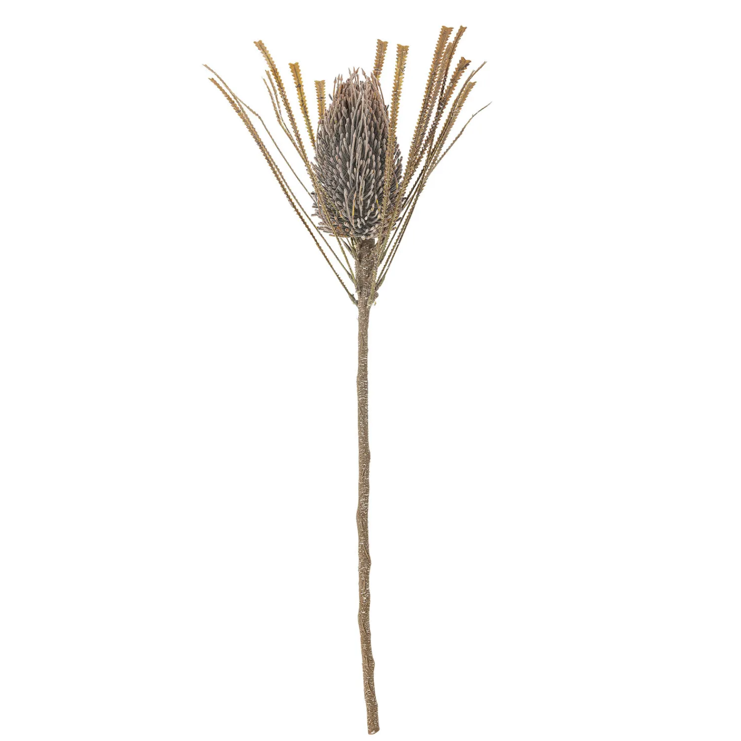 Hot Bloomingville - Palmflower Kunstig stilk - Brun, Plastik