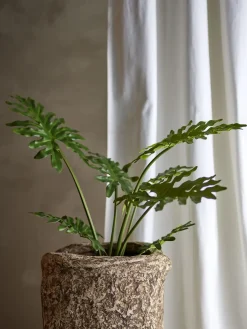 Online Bloomingville - Philodendron Kunstig Plante - Grøn, Plastik