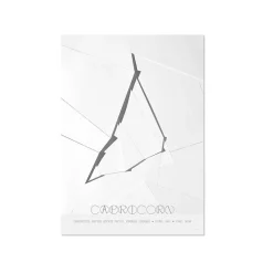 Best ChiCura - Stenbuk - Capricorn - A3