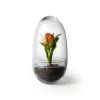 New Design House Stockholm - Grow Greenhouse - Medium