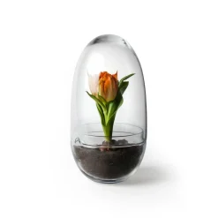 New Design House Stockholm - Grow Greenhouse - Medium