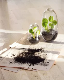 New Design House Stockholm - Grow Greenhouse - Small