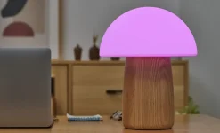 Outlet Gingko - Alice Mushroom Lamp - Large - White Ash Wood