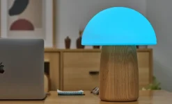 Outlet Gingko - Alice Mushroom Lamp - Large - White Ash Wood