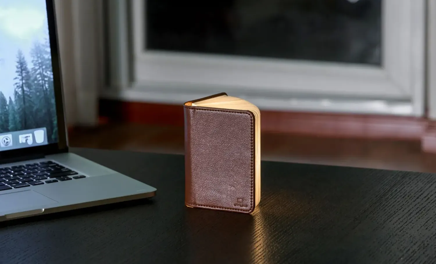 Clearance Gingko - LED Smart Booklight - Brown Leather - Mini