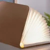 Clearance Gingko - LED Smart Booklight - Brown Leather - Large