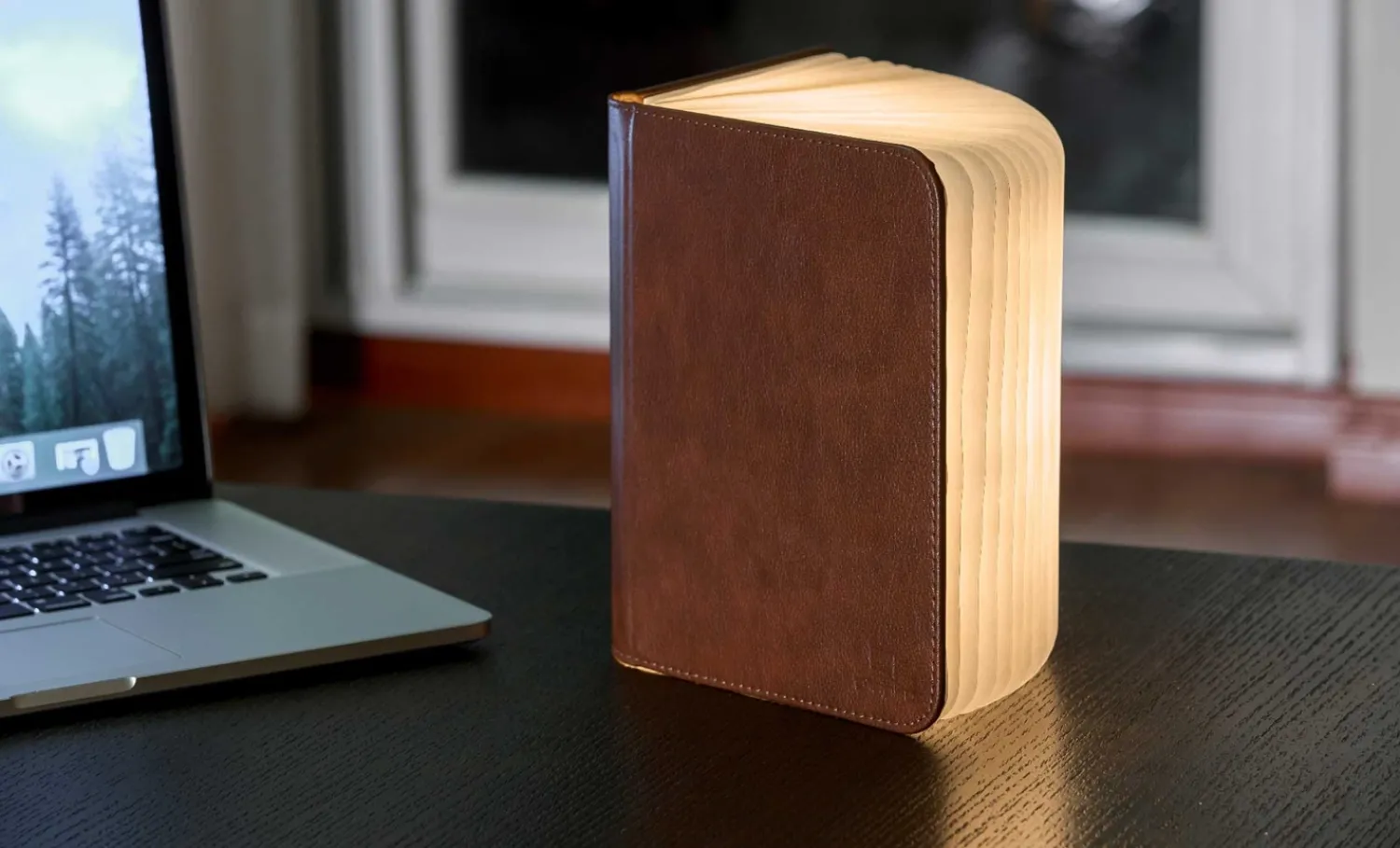 Clearance Gingko - LED Smart Booklight - Brown Leather - Large