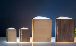 Outlet Gingko - LED Smart Booklight - Maple - Mini