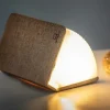 Hot Gingko - LED Smart Fabric Booklight - Coffee Brown - Mini