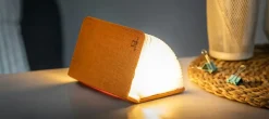 Clearance Gingko - LED Smart Fabric Booklight - Harmony Orange - Mini