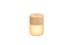 Hot Gingko - Lemelia Light - White Ash - Mini - 6x4 cm