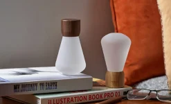 Clearance Gingko - Pentagon Light bulb Lamp Mini White Ash Wood