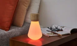 Clearance Gingko - Pentagon Light bulb Lamp Mini White Ash Wood