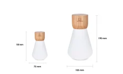 Clearance Gingko - Pentagon Light bulb Lamp Mini White Ash Wood