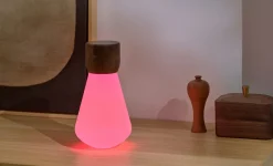 Clearance Gingko - Pentagon Light bulb Lamp Large Natural Walnut Wood
