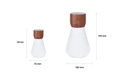 Clearance Gingko - Pentagon Light bulb Lamp Large Natural Walnut Wood