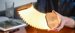 Hot Gingko - Smart Accordion Lamp Bamboo