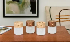 Online Gingko - Smart Diffuser Lamp White Ash