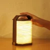 Hot Gingko - Smart Origami Lamp - Walnut