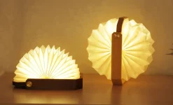 Hot Gingko - Smart Origami Lamp - Walnut