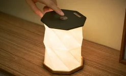 Outlet Gingko - Twist Hexagon Lamp - Black