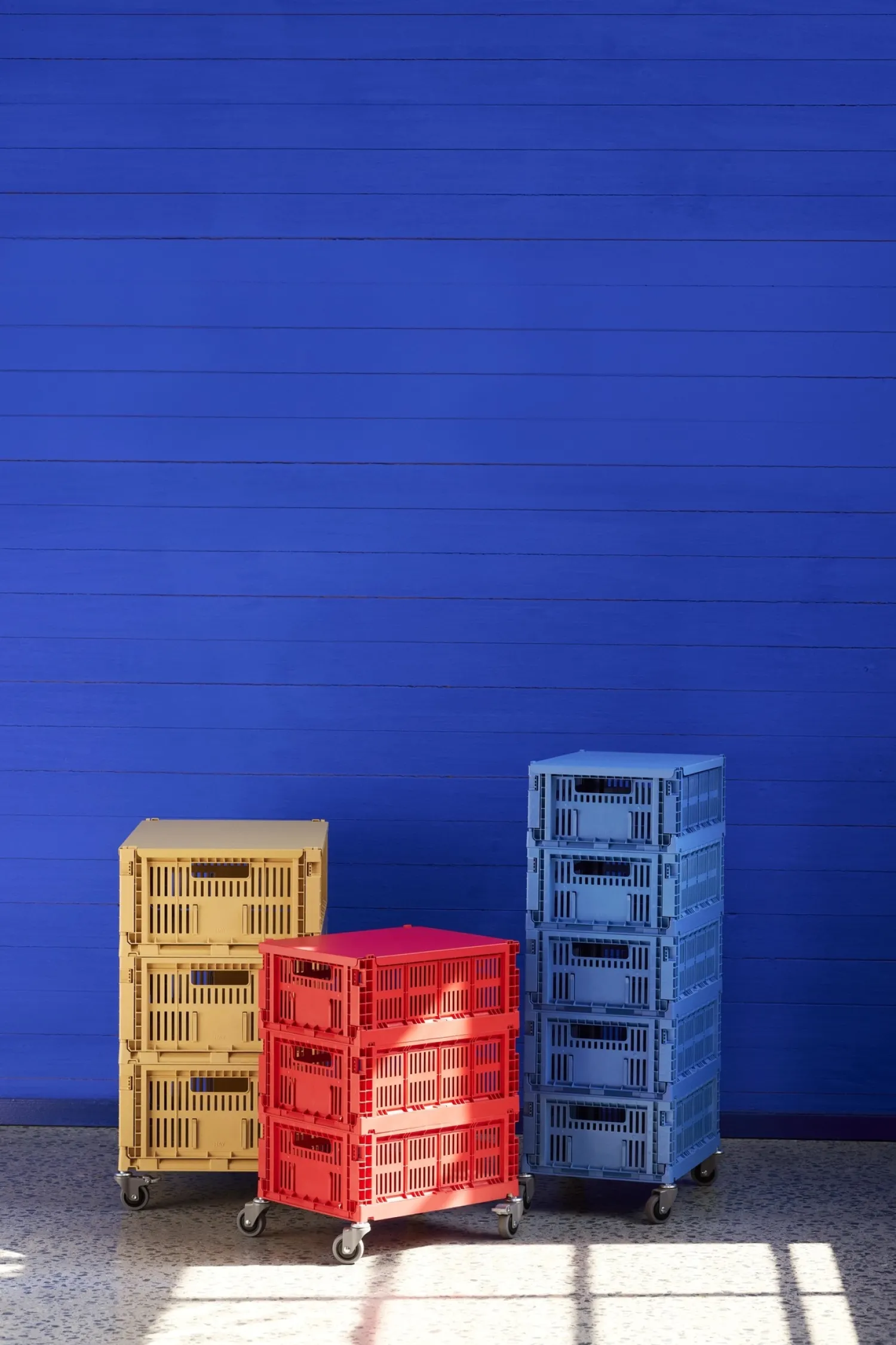Hot Hay Colour Crate Lid Plastic - Medium - Electric blue