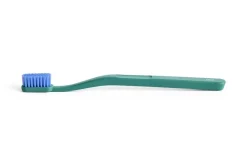 Hot Hay - Tann Toothbrush - Pine green and blue
