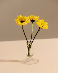 Online Hay - Vase - Tiny - Clear - Højde 8,6