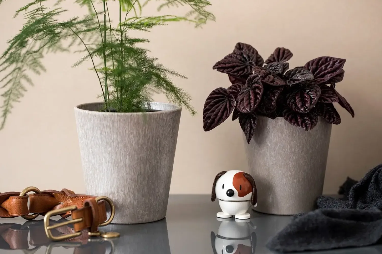 Outlet Hoptimist - Animals - Dog, hvid