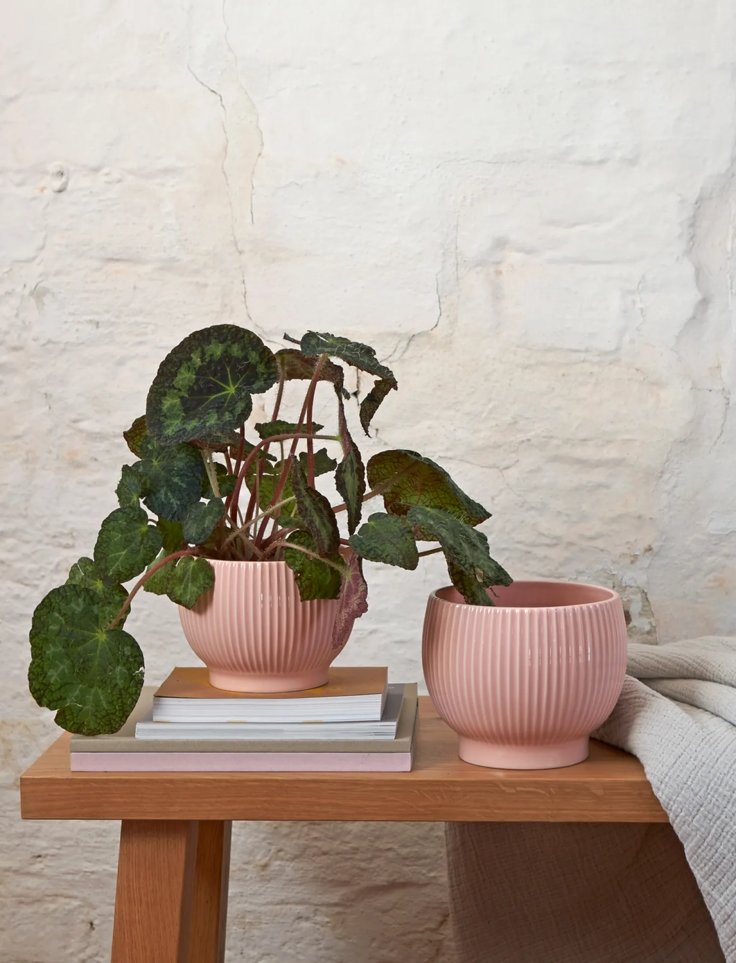 Best Knabstrup Keramik - urtepotteskjuler Ø 18 cm ripple rose
