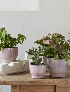 Outlet Knabstrup Keramik - urtepotteskjuler Ø 12.5 cm rose