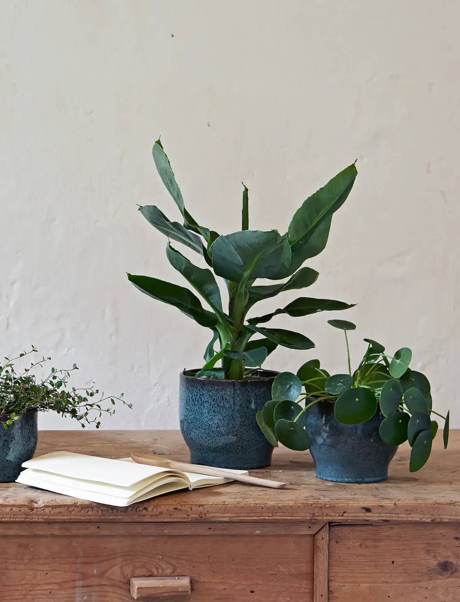 Outlet Knabstrup Keramik - urtepotteskjuler Ø 14,5 cm ocean green