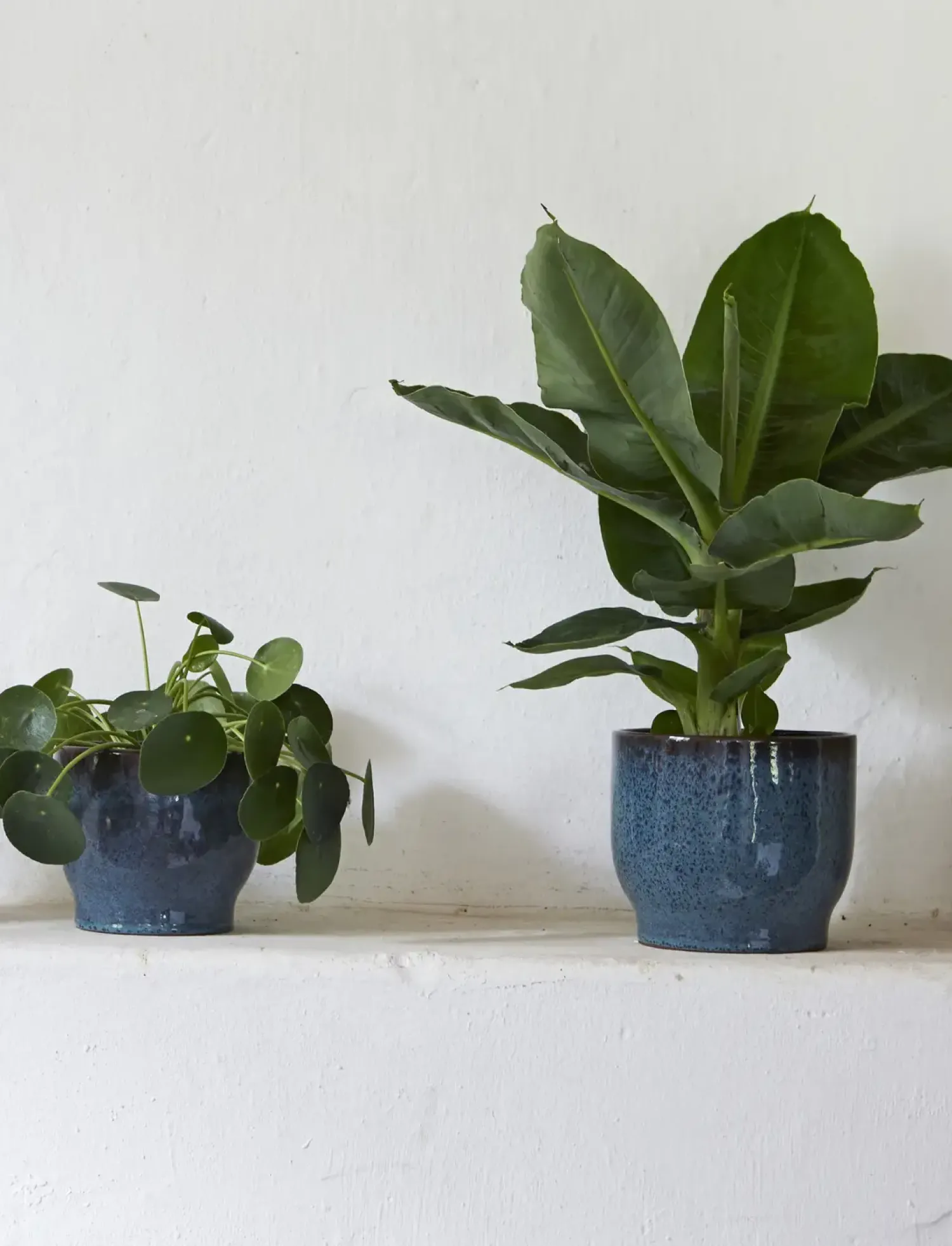 Clearance Knabstrup Keramik - urtepotteskjuler Ø 14.5 cm dusty blue