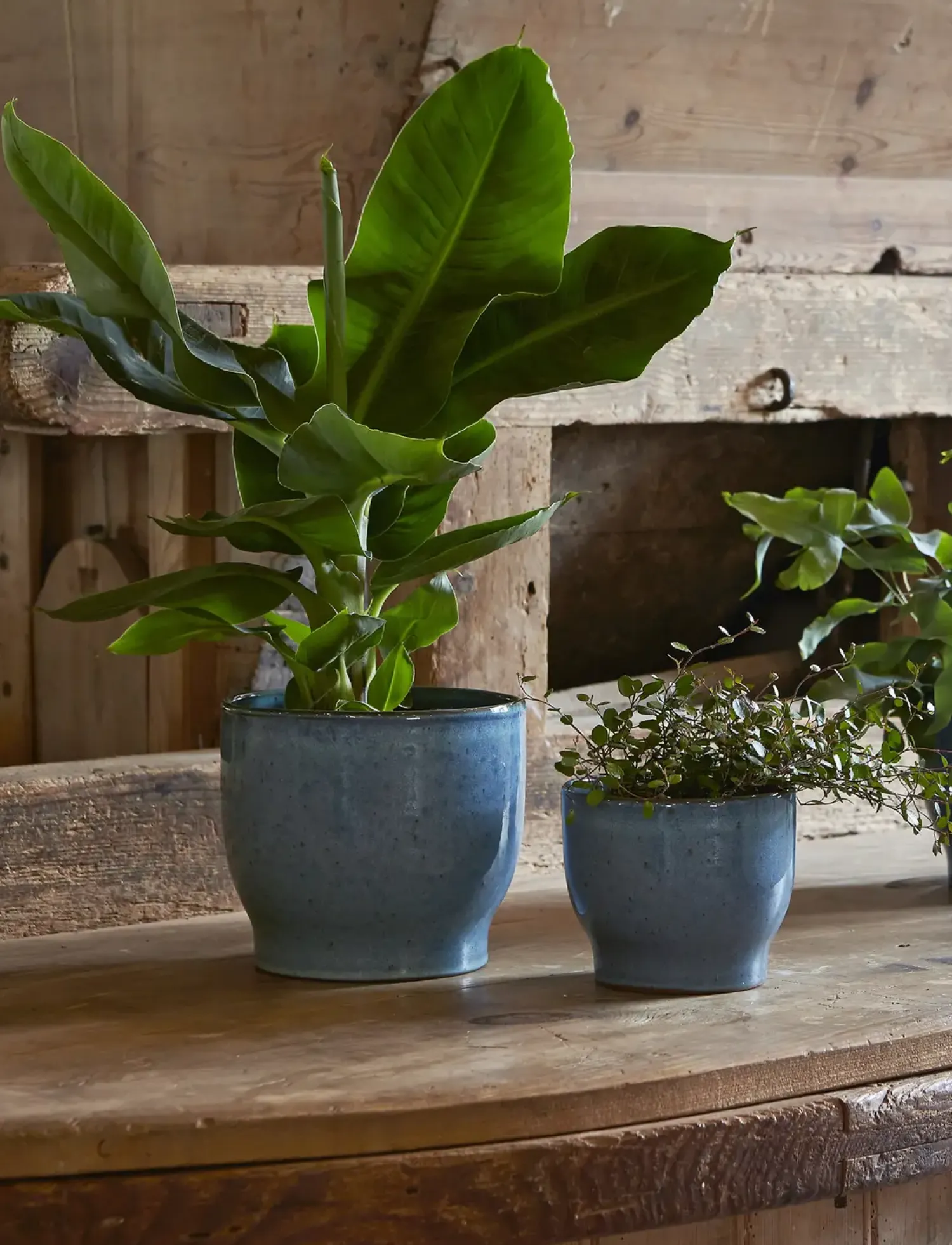 New Knabstrup Keramik - urtepotteskjuler Ø 16.5 cm dusty blue