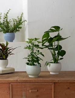 Online Knabstrup Keramik - urtepotteskjuler Ø 18 cm ripple lavender