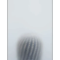 Discount Kristina Dam - Ball Cactus I - poster 50x70 cm
