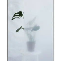 Discount Kristina Dam - Split-leaf I - poster 50x70 cm