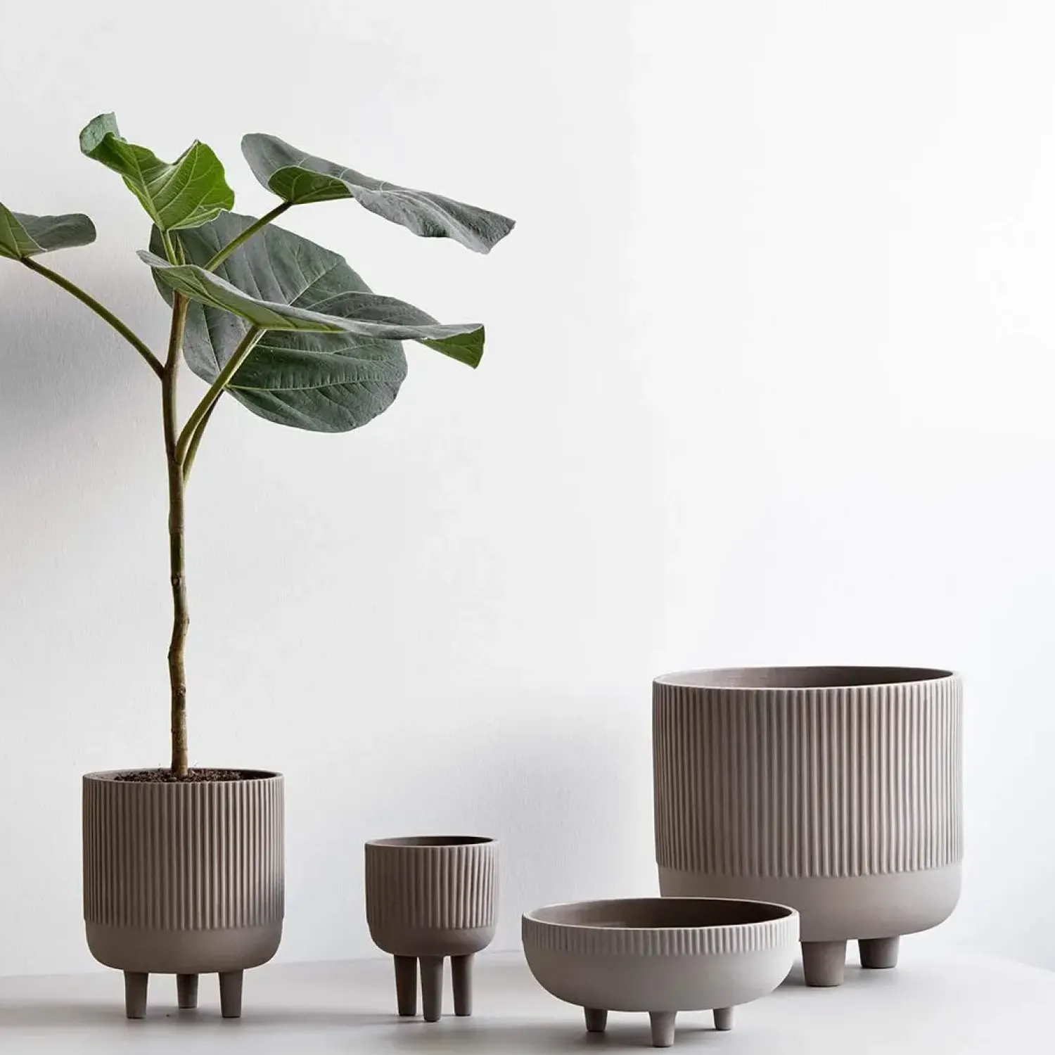 Discount Kristina Dam - Urtepotte - Bowl - Grey - S