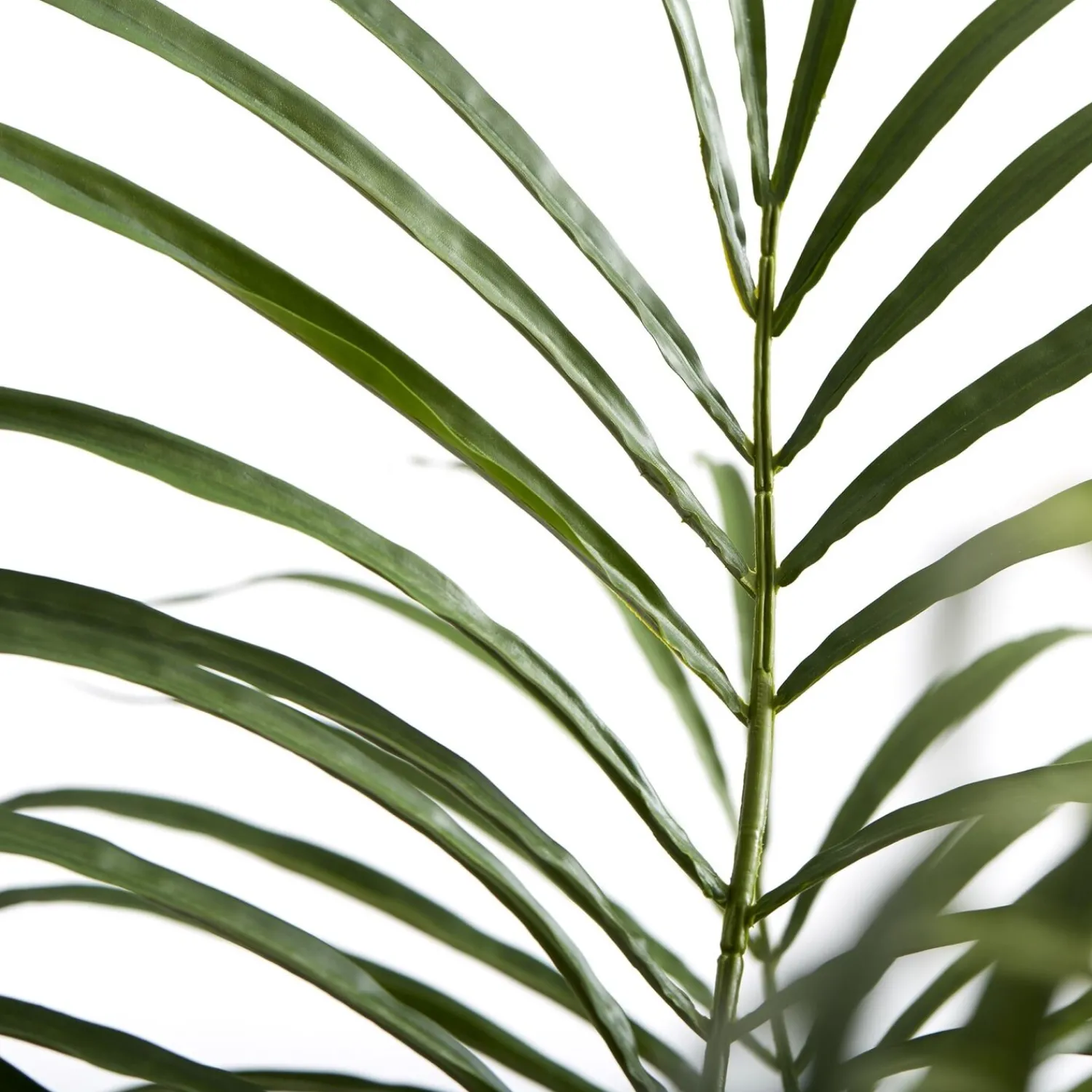 Online Lene Bjerre - Flora kentia palme H185 cm. grøn